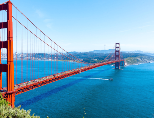 San Francisco City Guide